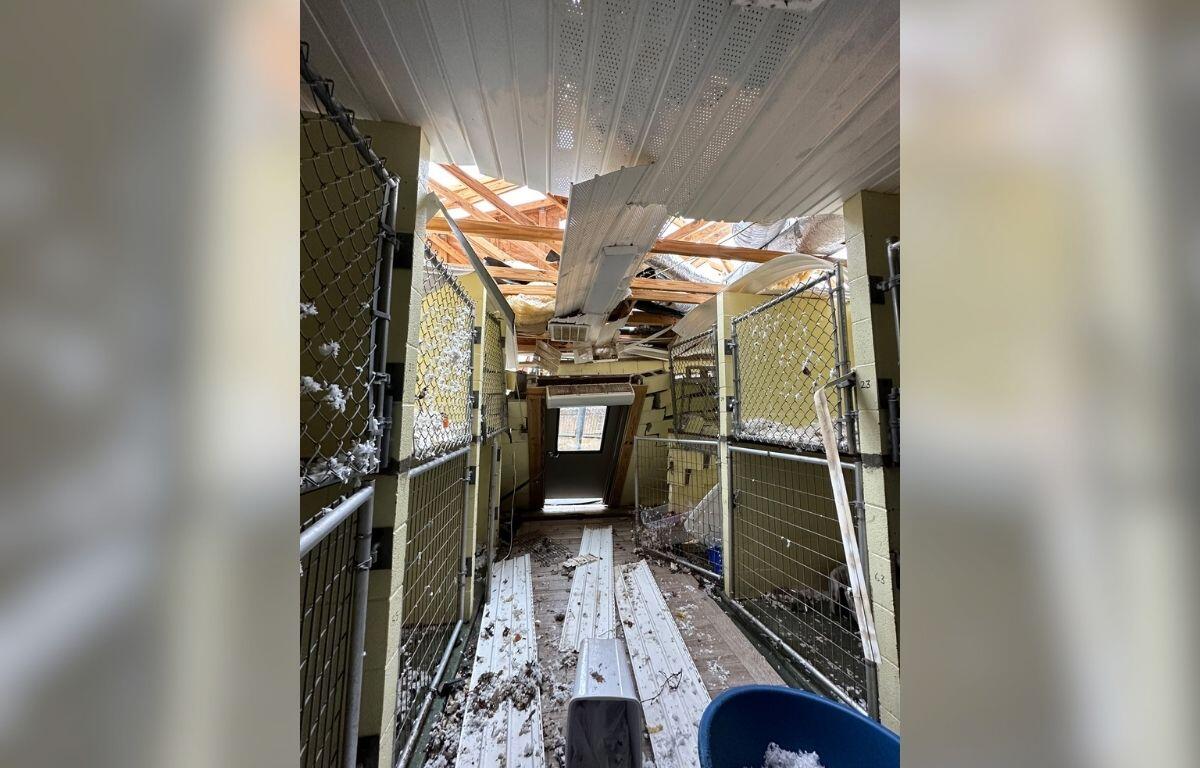 Interior hallway with collapsed ceiling panels, hanging insulation, and debris strewn across the floor; metal cage walls line the corridor. Entrance at far end shows broken roof letting light in.