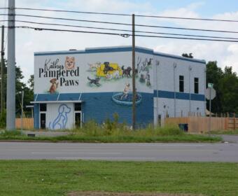 Two-story blue-gray building with a colorful dog mural that reads 'Kathy's Pampered Paws' and shows dogs at play and a fountain scene.