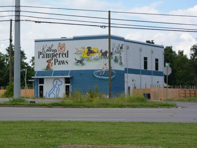 Two-story blue-gray building with a colorful dog mural that reads 'Kathy's Pampered Paws' and shows dogs at play and a fountain scene.