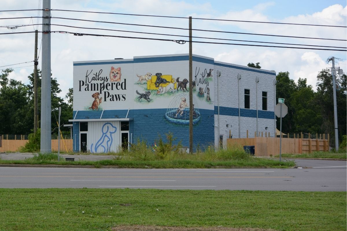 Two-story blue-gray building with a colorful dog mural that reads 'Kathy's Pampered Paws' and shows dogs at play and a fountain scene.