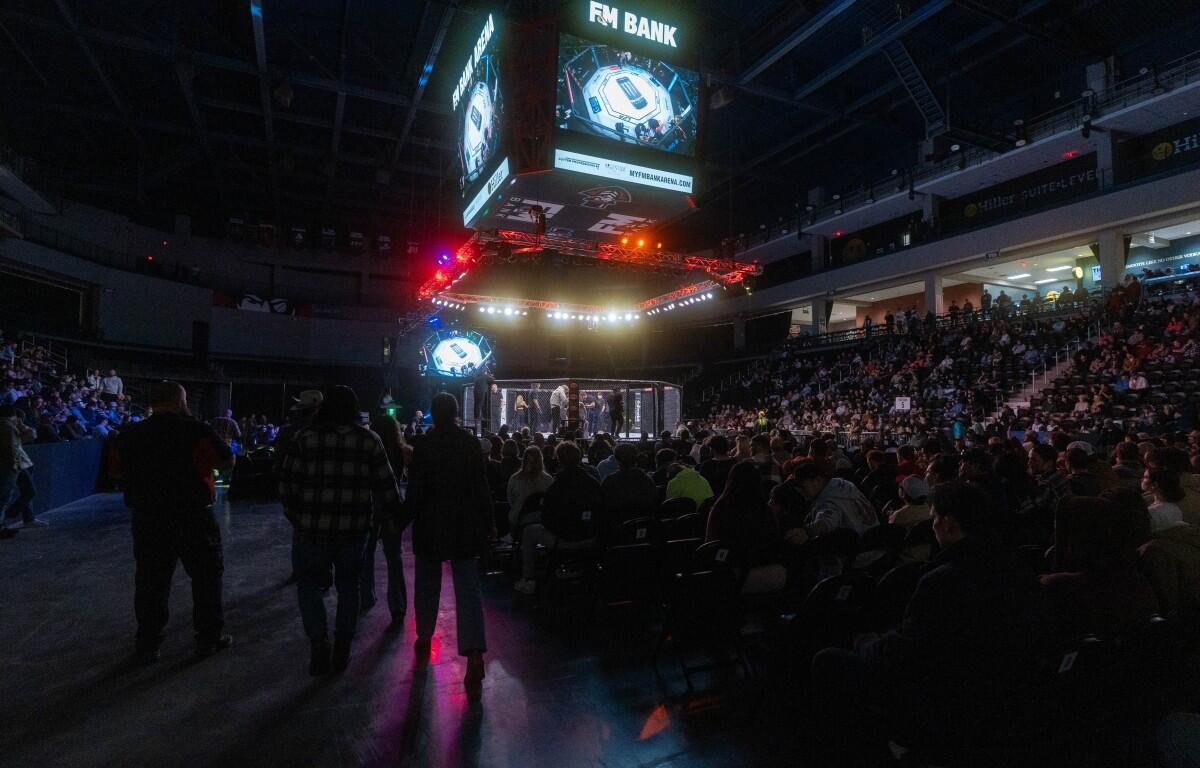 LFA mixed martial arts fighting at F&M Bank Arena in Clarksville. (Contributed)