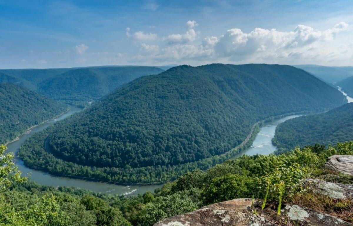 A panoramic view of a meandering river winding through forested green mountains, seen from a rocky cliff edge with plants in the foreground.