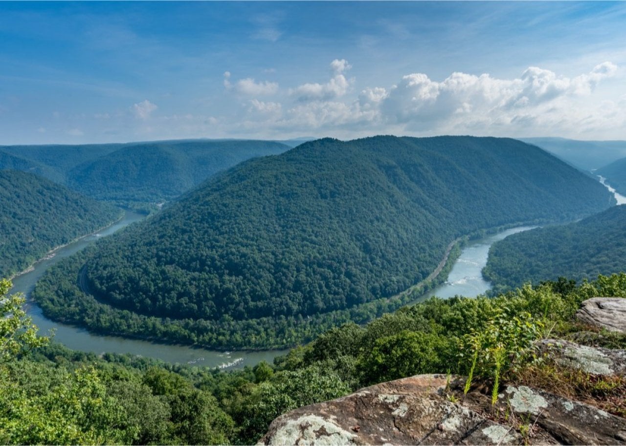 A panoramic view of a meandering river winding through forested green mountains, seen from a rocky cliff edge with plants in the foreground.