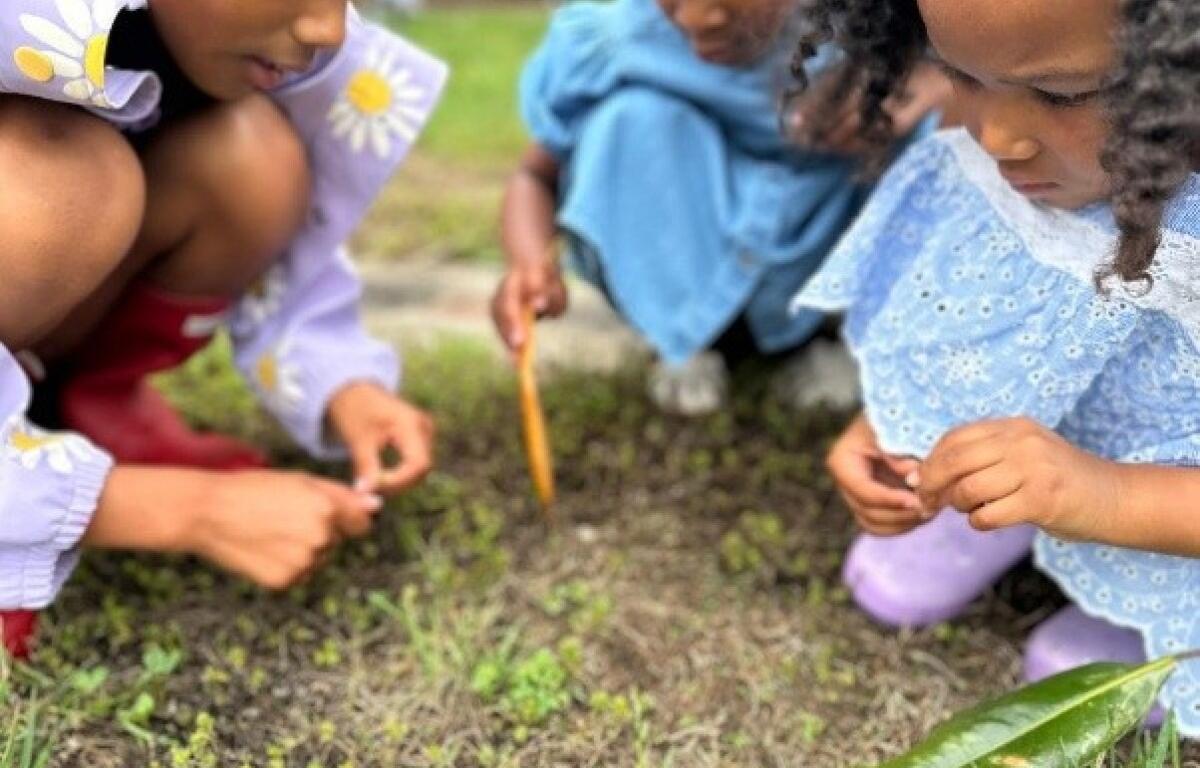 Everwild Preschool (Contributed)