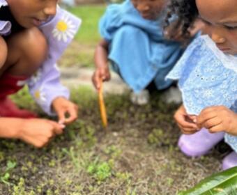 Everwild Preschool (Contributed)