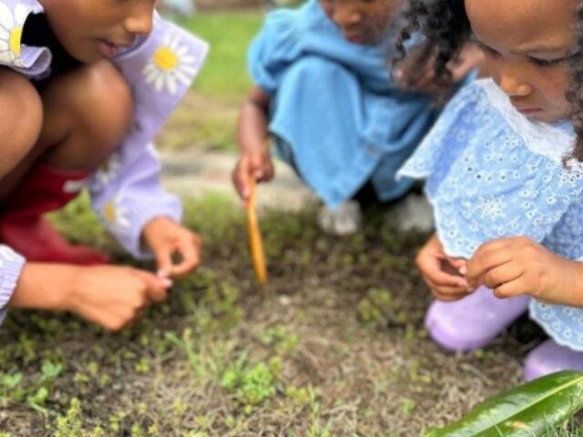 Everwild Preschool (Contributed)