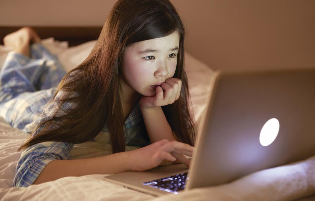 Student using a laptop computer at home. (Metro Creative Services)