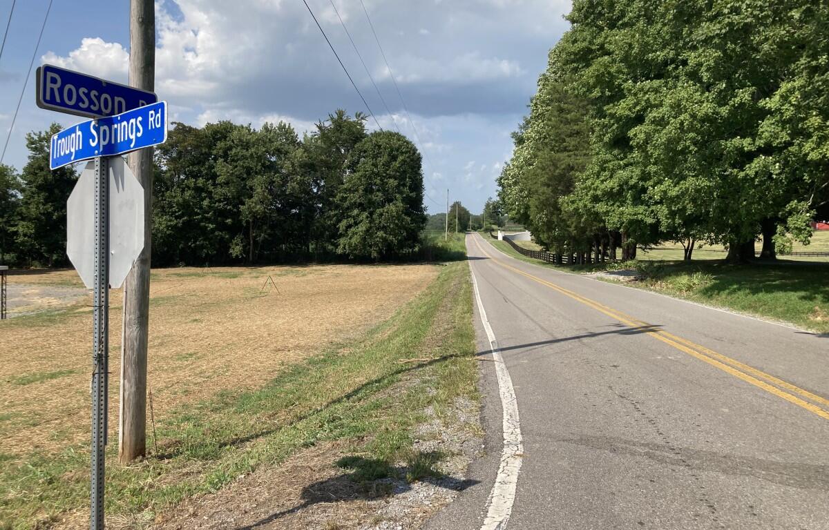 Rosson Road looking north from Trough Springs Road. The site for the planned ICE call center would be in the distance on the left. (Christian Brown)