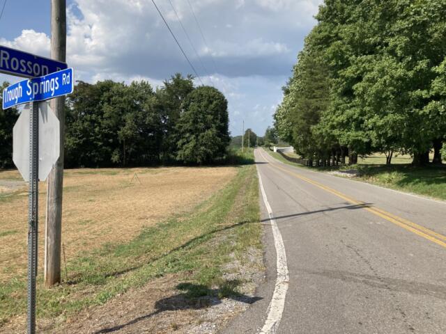 Rosson Road looking north from Trough Springs Road. The site for the planned ICE call center would be in the distance on the left. (Christian Brown)