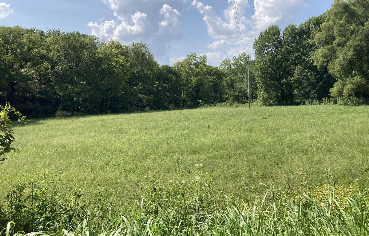 The only clearing on Rosson Road between 1488 and 1498. The site for the planned ICE call center would be there or nearby. (Christian Brown)