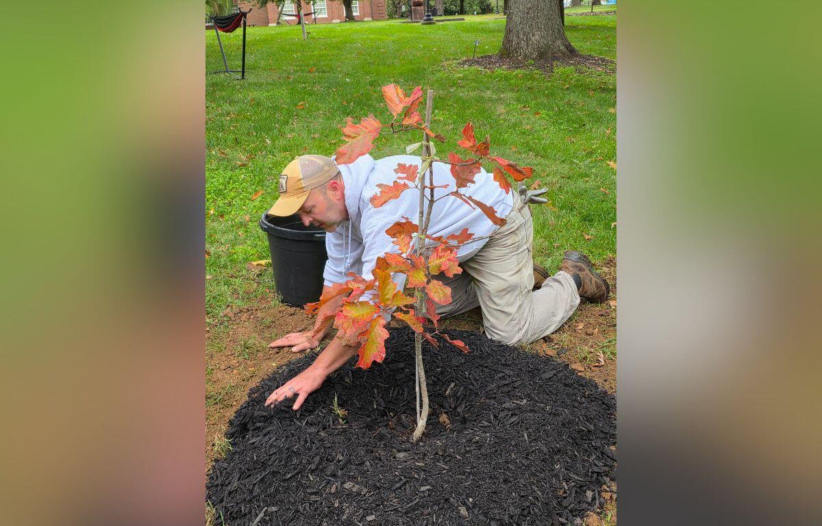 Replant Clarksville (Contributed)