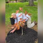 Replant Clarksville (Contributed)