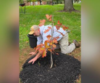 Replant Clarksville (Contributed)