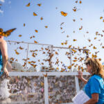 18th Annual Butterfly Festival at the War Memorial Walking Trail in Oak Grove, KY on September 5, 2026 (Wesley Irvin)