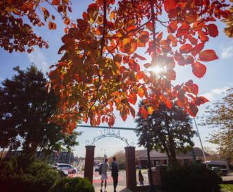 Fall at Austin Peay State University. (Clarksville Now archives)