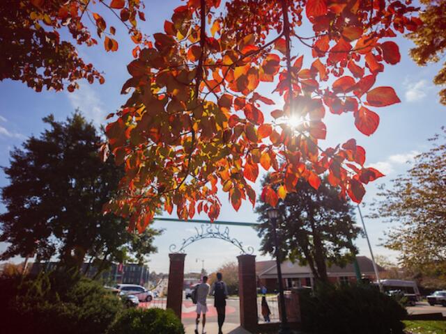 Fall at Austin Peay State University. (Clarksville Now archives)