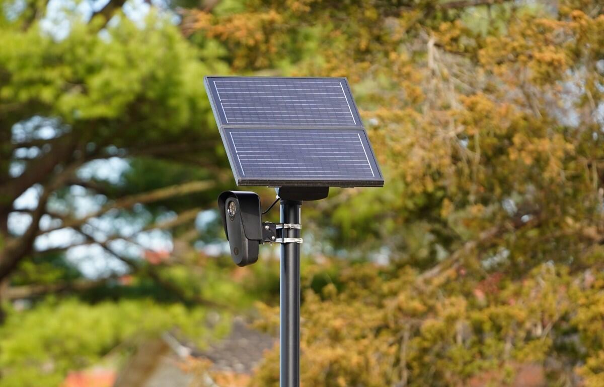 A Flock license-plate-reading camera in November 2024. (Shutterstock)