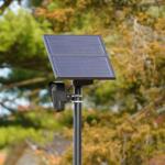 A Flock license-plate-reading camera in November 2024. (Shutterstock)