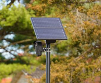 A Flock license-plate-reading camera in November 2024. (Shutterstock)