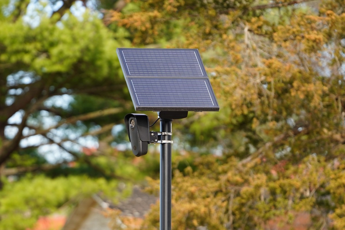 A Flock license-plate-reading camera in November 2024. (Shutterstock)