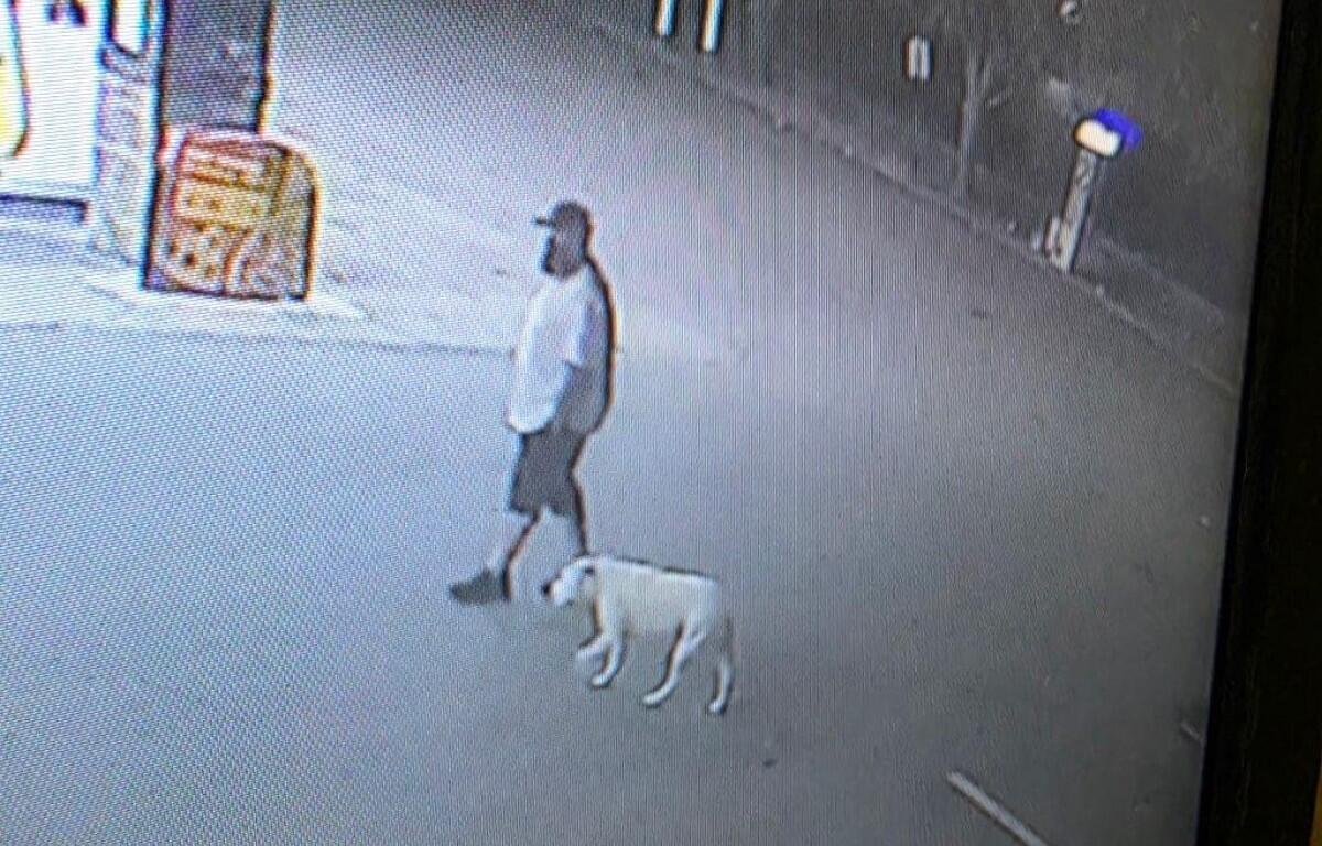 Person of interest in CPD theft of motor vehicle investigation. (Clarksville Police, Contributed)