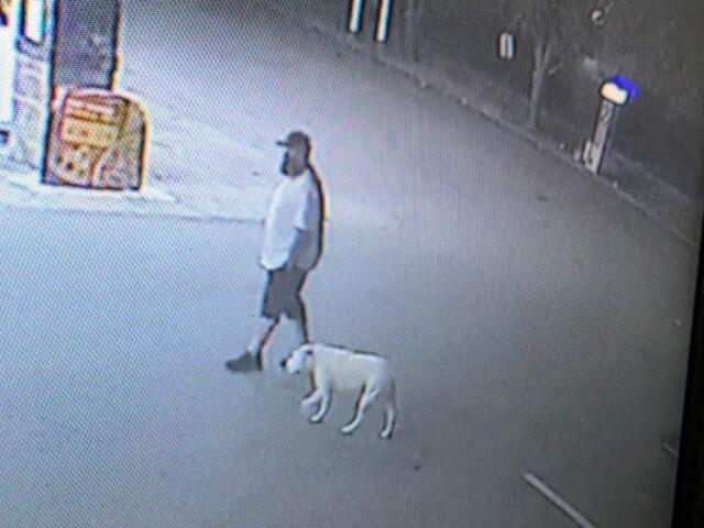 Person of interest in CPD theft of motor vehicle investigation. (Clarksville Police, Contributed)