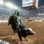 The Cory Rasch Invitational Xtreme Bulls event. (Contributed)