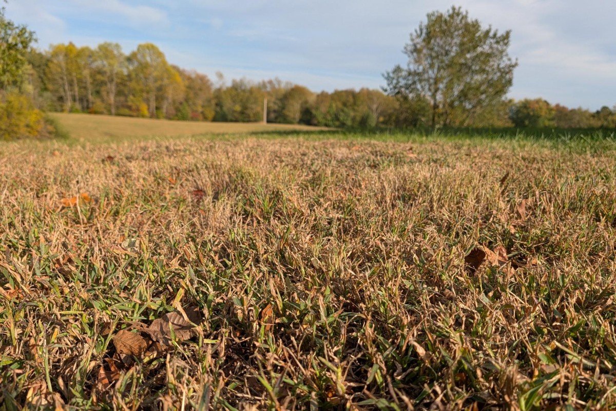Dry grass on Old Russellville Pike on Oct. 26, 2026. (Chris Smith)