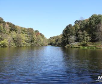 Land donated to Montgomery County along Matlock Road. (Montgomery County Government, contributed)