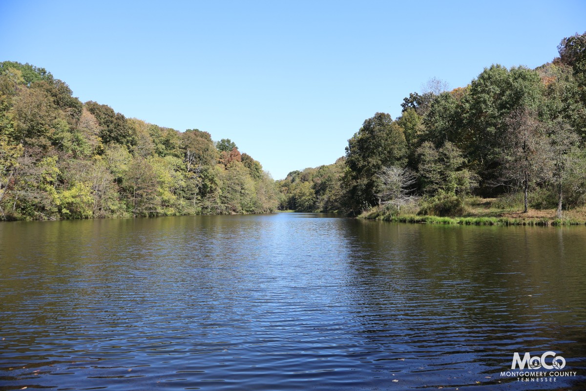 Land donated to Montgomery County along Matlock Road. (Montgomery County Government, contributed)