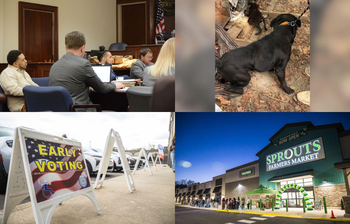 Clockwise from the top left, shooting trial, Hickman County dogs, Sprouts opening, early voting.