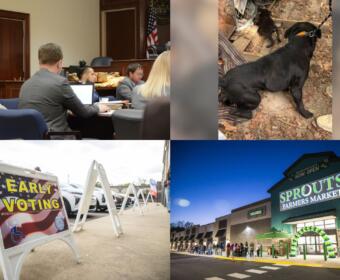 Clockwise from the top left, shooting trial, Hickman County dogs, Sprouts opening, early voting.