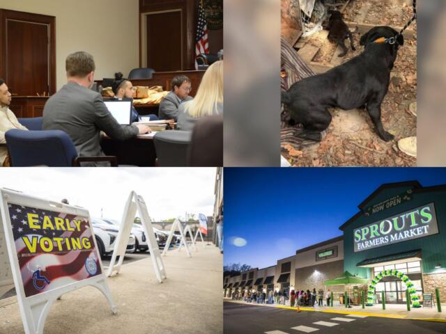 Clockwise from the top left, shooting trial, Hickman County dogs, Sprouts opening, early voting.