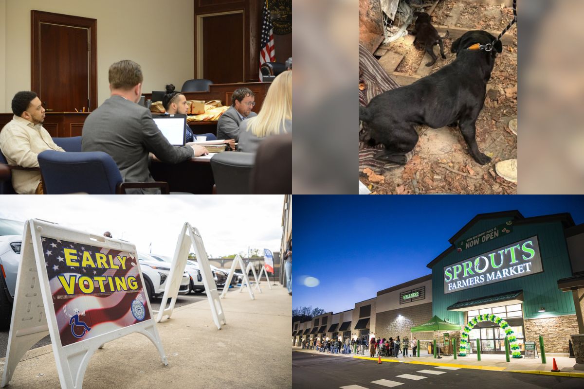 Clockwise from the top left, shooting trial, Hickman County dogs, Sprouts opening, early voting.
