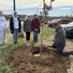 Replant Clarksville during a tree planting at Oakland Elementary School. (Contributed)