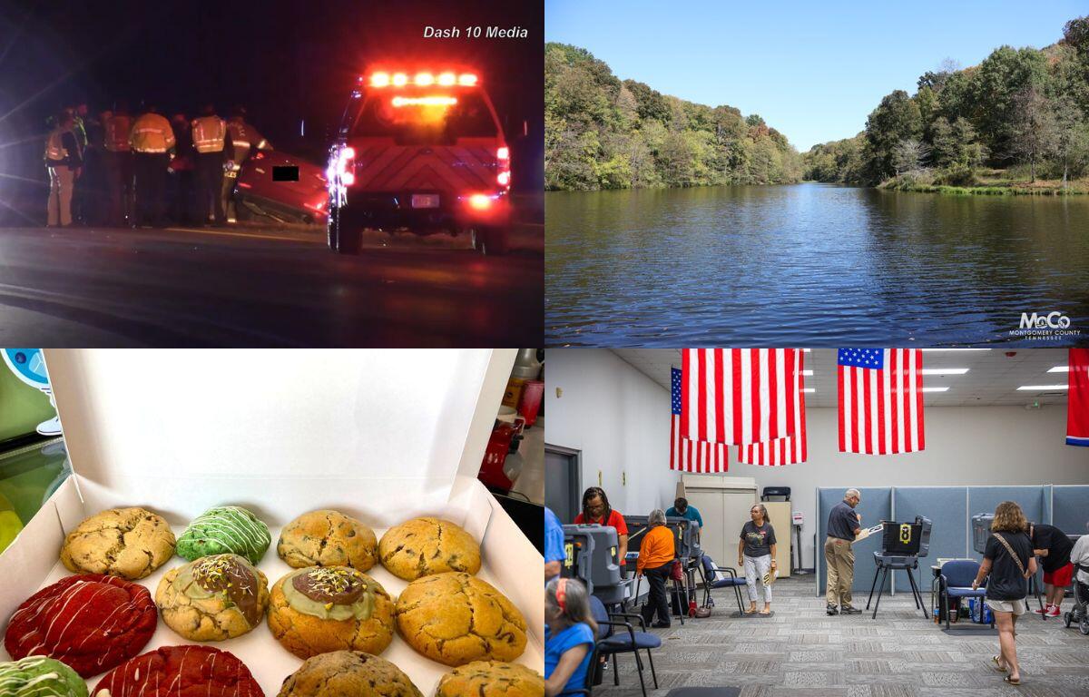 Clockwise from the top left, DUI crash, Matlock Park, early voting and Chillville cookies.