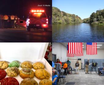Clockwise from the top left, DUI crash, Matlock Park, early voting and Chillville cookies.