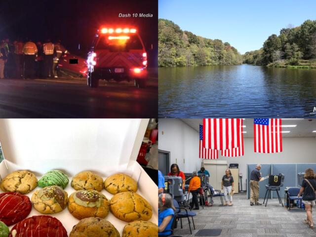 Clockwise from the top left, DUI crash, Matlock Park, early voting and Chillville cookies.