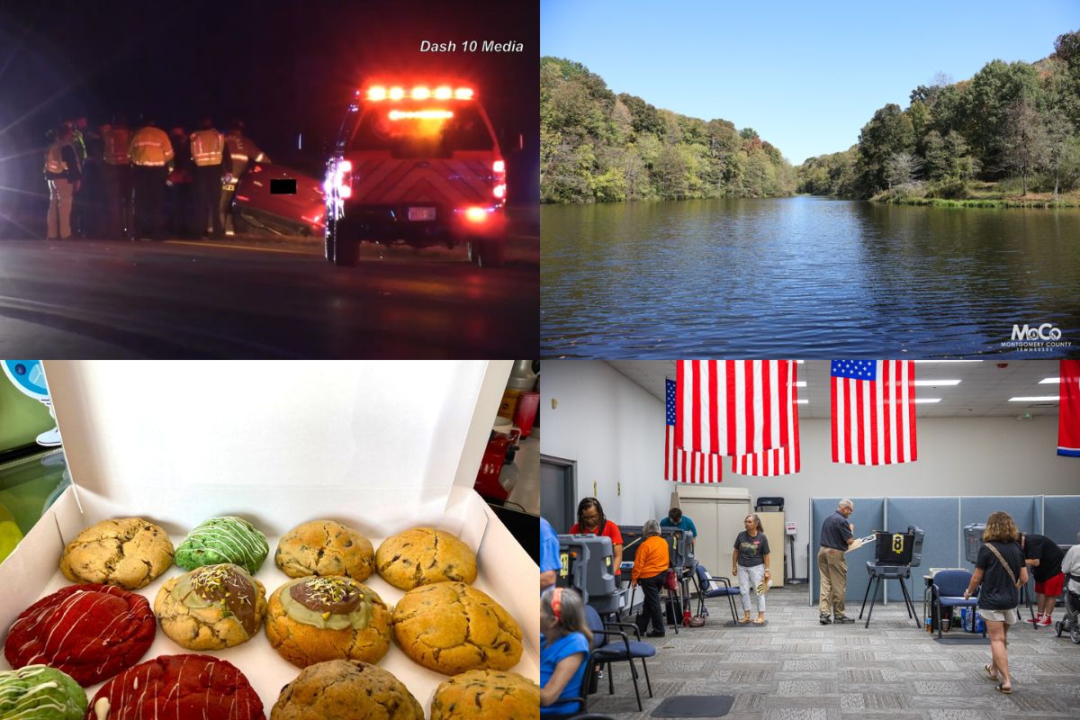Clockwise from the top left, DUI crash, Matlock Park, early voting and Chillville cookies.